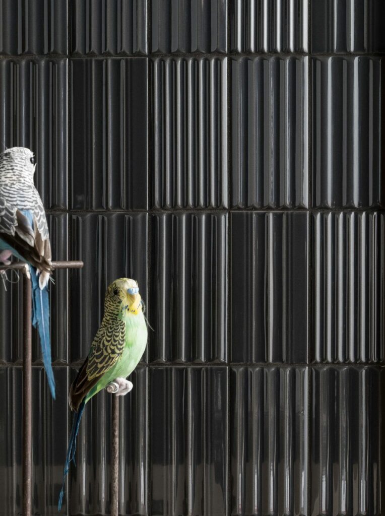 Wig Wag by 41zero42 | Tile X Design