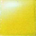Sunny Yellow VG-O752