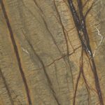 Brown Forest