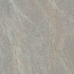 Oyster Grey