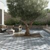 Outdoor tiles for patio with tree in center.