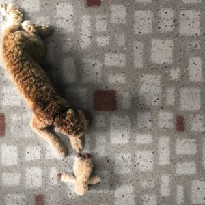 Overcome by Leonardo