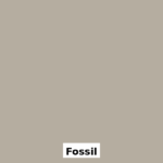 93 FOSSIL