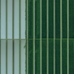 Moss - Flat